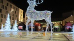 img_2643.jpg