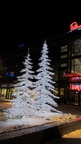 img_2646.jpg
